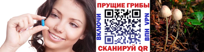darknet состав  Челябинск  Галлюциногенные грибы Magic Shrooms  где купить наркоту 