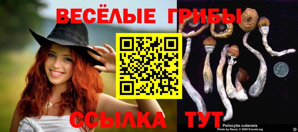 Галлюциногенные грибы Psilocybine cubensis Челябинск